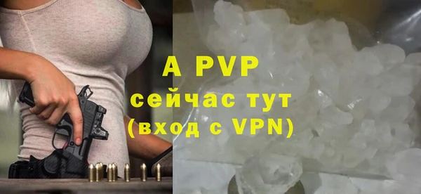 СК Белокуриха