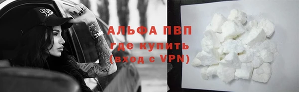СК Белокуриха