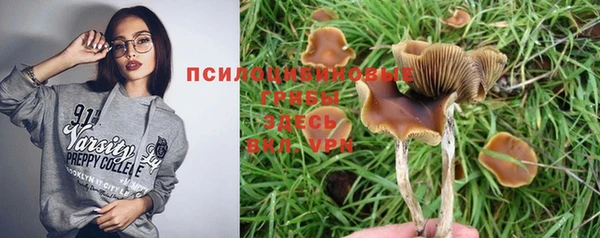 крисы Ступино