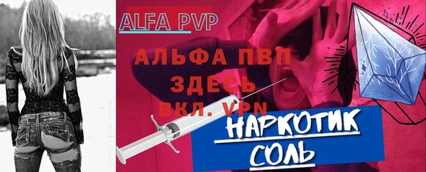 СК Белокуриха