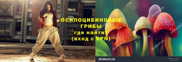 СК Белокуриха